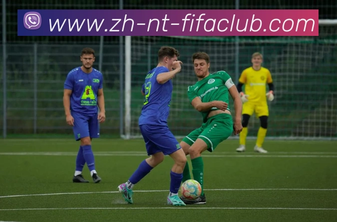 世界杯直播APP 封面图