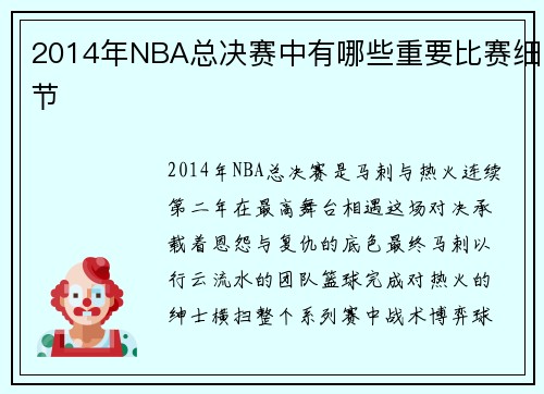 2014年NBA总决赛中有哪些重要比赛细节